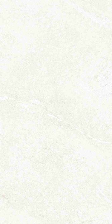 Dhara White Matte 12 x 24